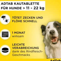 AdTab 450 mg für große Hunde (11-22 kg) 3 Kautabletten