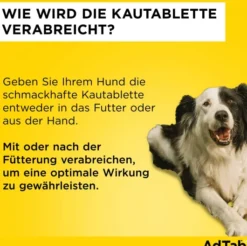 AdTab 450 mg für große Hunde (11-22 kg) 3 Kautabletten