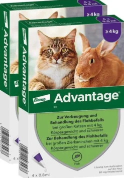 Advantage 80 mg für Katzen und Zierkaninchen über 4 kg 8 x 0,8 ml Lösung