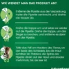 Advantage 40 mg für Katzen und Zierkaninchen bis 4 kg 4 x 0,4 ml Lösung