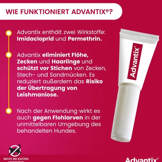 Advantix Spot-On Hund 4-10 kg 4 x 1 ml Lösung