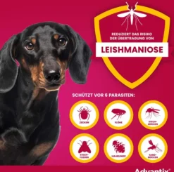 Advantix Spot-On Hund 4-10 kg 4 x 1 ml Lösung