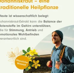 Albax BEH Pharma 425 mg 60 Hartkapseln