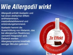 Allergodil akut Duo 1 Kombipackung