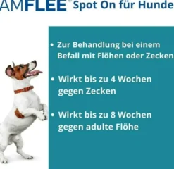 Amflee 134 mg Spot-On Lösung Für Mittelgroße Hunde 10 - 20 KG 3...