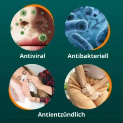 Angocin Anti-Infekt N 60 Filmtabletten