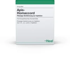 Apis Homaccord 100 Ampullen