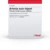 Arteria Suis Injeel 1,1 ml 10 Ampullen