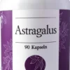Astragalus Extrakt 500 mg Kapseln 90 Stück