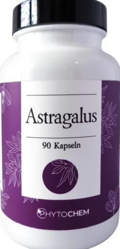Astragalus Extrakt 500 mg Kapseln 90 Stück