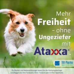 Ataxxa 500 mg-100 mg Lösung zum Auftropfen für Hunde von 4-10 kg 3 Pipetten