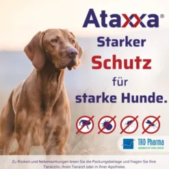 Ataxxa 200 mg-40 mg Lösung zum Auftropfen für Hunde bis 4 kg 3 Pipetten