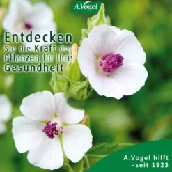 A.Vogel Husten-Spray Reizhusten 30 ml