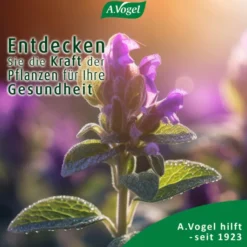A.Vogel Menosan Salvia Tabletten 30 Stück