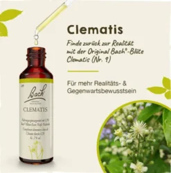 Bachblüten Clematis 20ml Tropfen