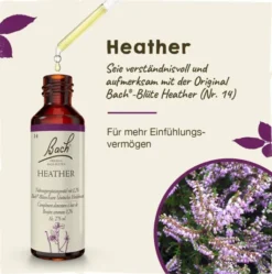 Bachblüten Heather 20 ml Tropfen