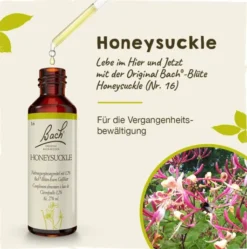 Bachblüten Honeysuckle 20 ml Tropfen