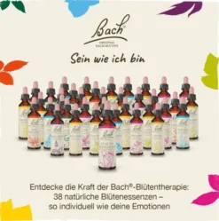 Bachblüten Hornbeam 20ml Tropfen