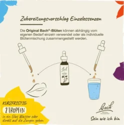 Bachblüten Larch 20ml Tropfen