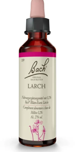 Bachblüten Larch 20ml Tropfen