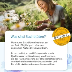 Bachblüten Murnauer - Du Schaffst das - 50 G Bonbons