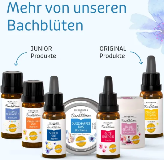 Bachblüten Murnauer - Du Schaffst das - 50 G Bonbons