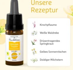 Bachblüten Murnauers Original Junior Tropfen