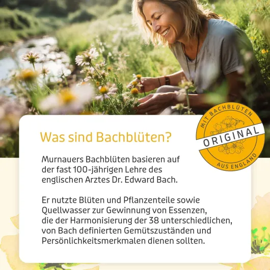 Bachblüten Original Creme Nach Dr. Bach 30 G Creme