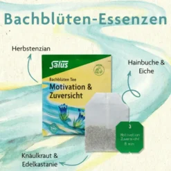 Bachblüten Tee Motivation & Zuversicht Bio Salus 15 Filterbeutel