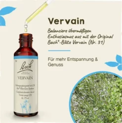 Bachblüten Vervain 20 ml Tropfen