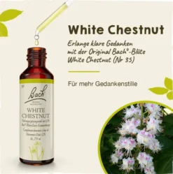 Bachblüten White Chestnut 20ml Tropfen