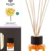 Baldini Feelkraft Bio Demeter Raumduft Set