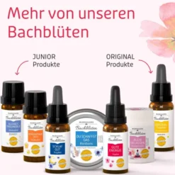 Bb Gute Energie Tropfen 20 ml