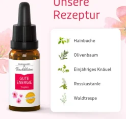 Bb Gute Energie Tropfen 20 ml