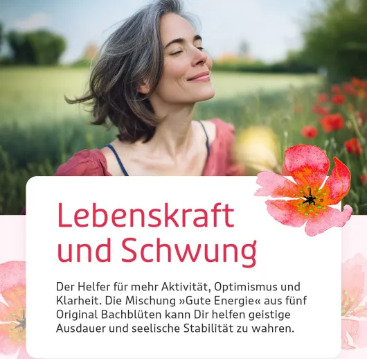 Bb Gute Energie Tropfen 20 ml