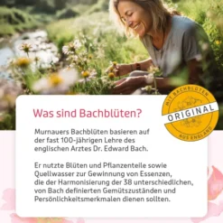 Bb Gute Energie Tropfen 20 ml