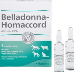 Belladonna Homaccord Ad Us.Vet.Ampullen