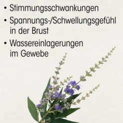 Böhm Mönchspfeffer 4 mg 60 Filmtabletten
