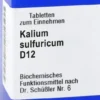 Biochemie 6 Kalium Sulfuricum D 12 1000 Tabletten