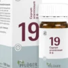Biochemie Pflüger 19 Cuprum Arsenicosum D6 100 Tabletten