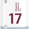 Biochemie Pflüger 17 Manganum sulfuricum D6 400 Tabletten