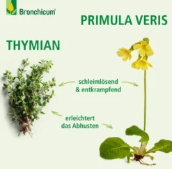 Bronchicum Tropfen 30 ml