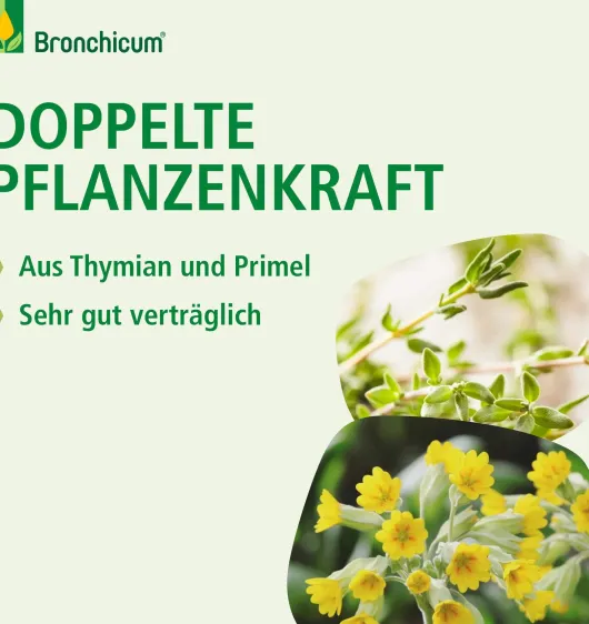 Bronchicum Tropfen 30 ml