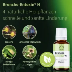 Broncho Entoxin N 100 ml Tropfen