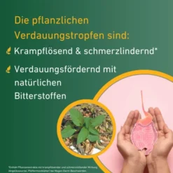 Carvomin Verdauungstropfen 100 ml (2 x 50 ml)