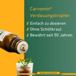 Carvomin Verdauungstropfen 50 ml
