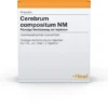Cerebrum Compositum Nm 10 Ampullen