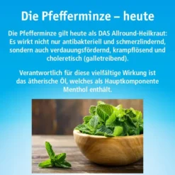 China Öl Hals- und Rachenbonbons Ohne Zucker 40 G
