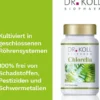 Chlorella Dr.Koll 334 Tabletten