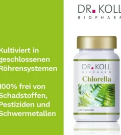 Chlorella Dr.Koll 334 Tabletten